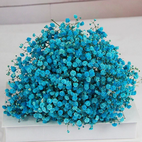 Полный тиансинг сухой цветок букет истинный цветочный декоративный орнамент Гостиная свежес вставлена ​​на естественный воздух Юньнань