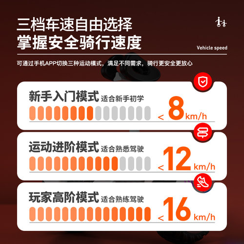 领奥电动智能儿童自动平衡车6到8到12岁10到15岁以上成人2026新款 - 图2