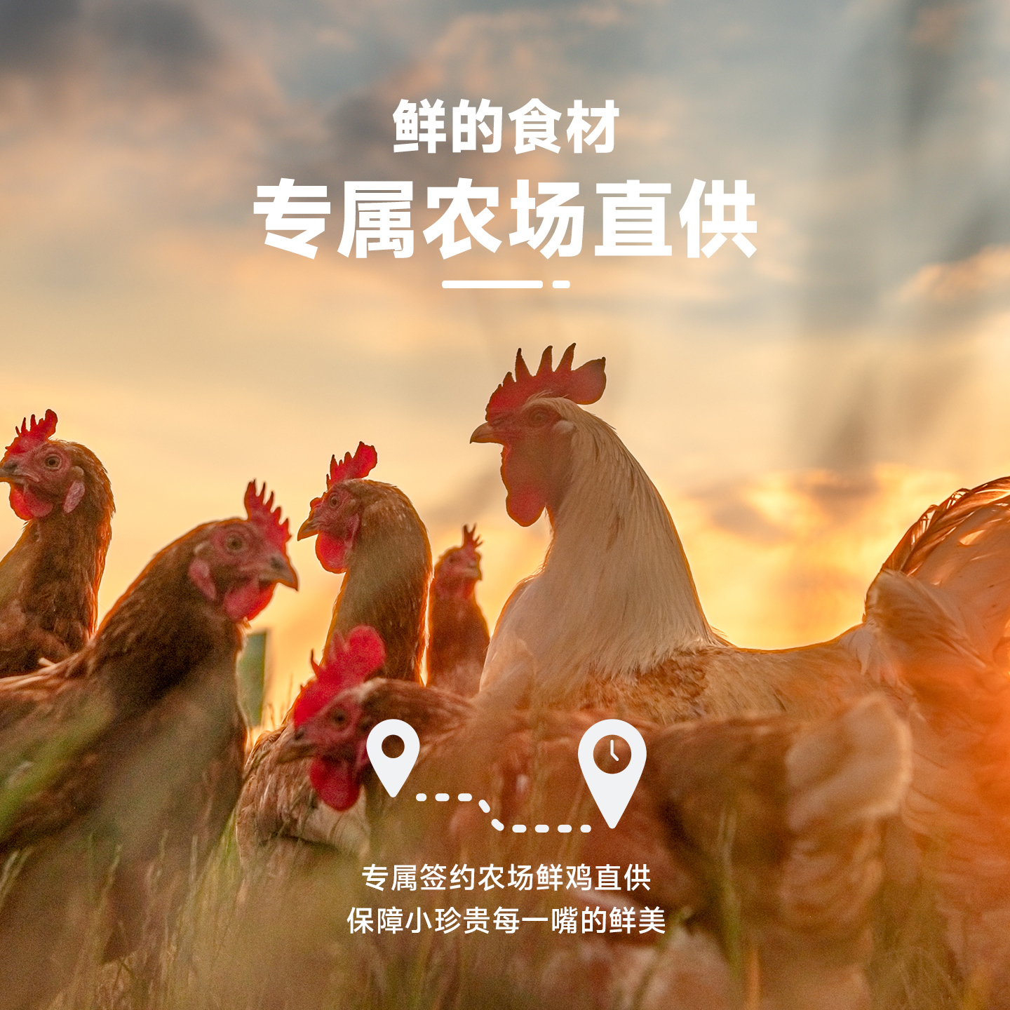 【优选】鲜朗烘焙犬粮狗粮全期全价禽肉兔肉