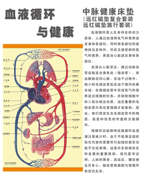定制血液科海报临床输血申请监护血液检测唉症肿瘤养护图多图任选