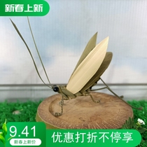 Pass on Non-relic Grasshopper Students Manual Homework Gift Featured Handicraft and TV props Home Fields Garden Scenery