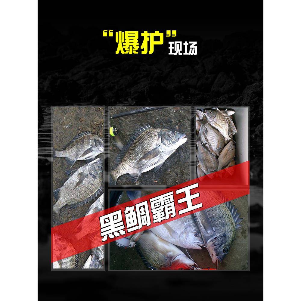 老鬼黑鲷霸王海钓饵料矶钓鱼饵鲻鱼鲈鱼黄脚腊鲷鱼打窝料诱饵散炮 - 图2