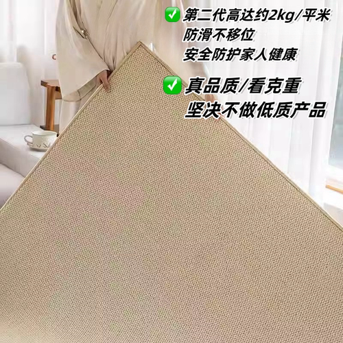 仿剑麻地毯耐磨仿猫抓免洗奶油风客厅地垫摄影棚卧室床边飘窗拍照 - 图1