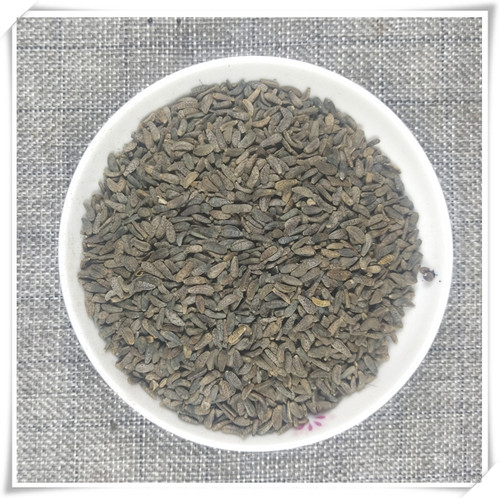 山间谷草 牛蒡子500g牛蒡籽牛子大力子牛籽牛膀子新货非中药材粉 - 图1