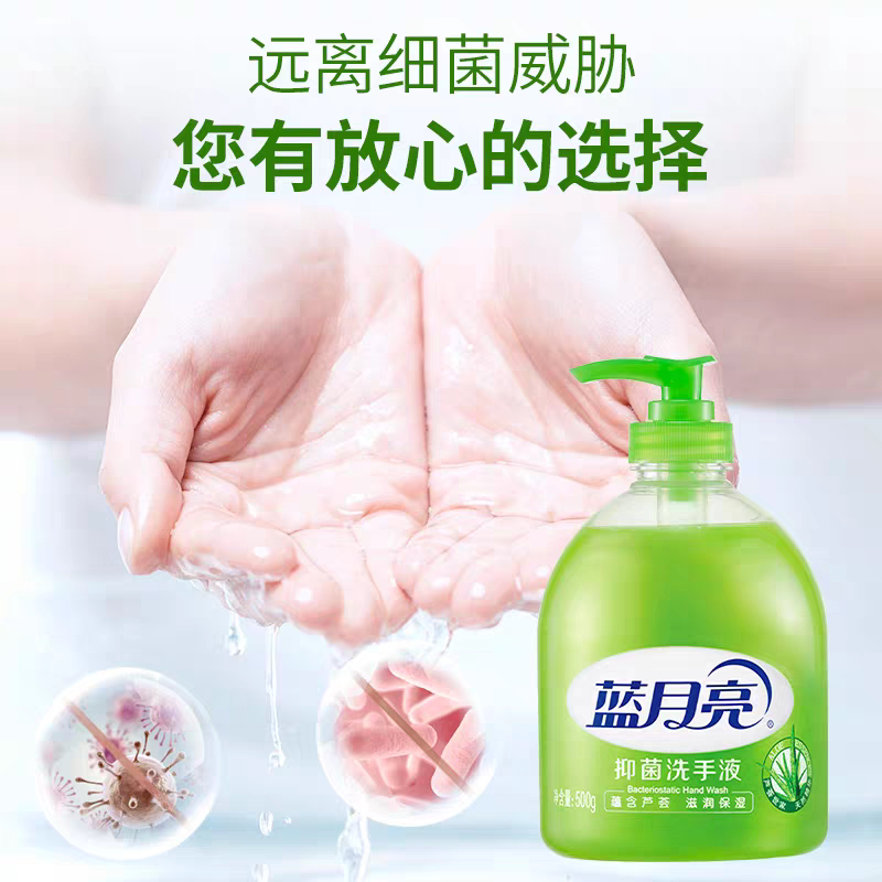 蓝月亮洗手液家庭装杀菌消毒抑菌瓶装500g*2瓶家庭实惠装官方正品
