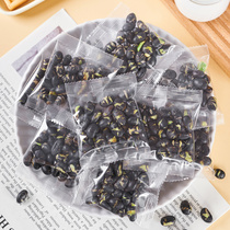 Black beans ready-to-eat dried fried beans with zero table salt and crisp pregnant women nuts small package fried black bean food fried stock nuts