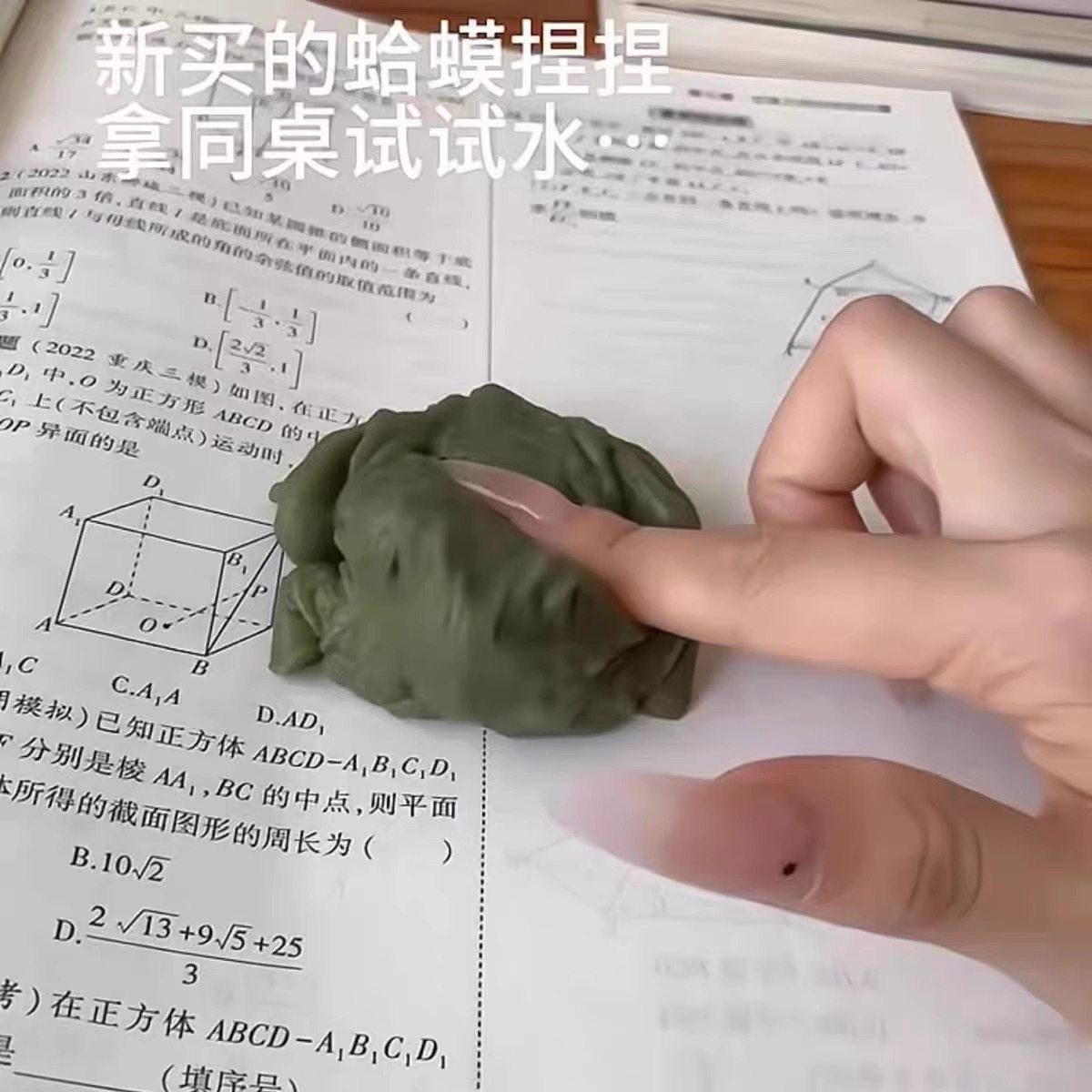 抖音同款解压整蛊玩具癞蛤蟆捏捏乐自制手绘泄愤玩具仿真青蛙送人 - 图2