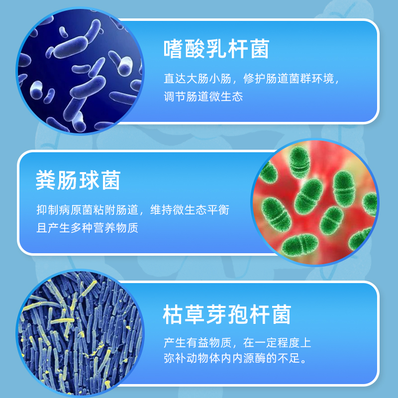 怡乐宠宠物益生菌调理肠胃便秘平衡肠道活性犬猫通用营养补充剂 - 图2