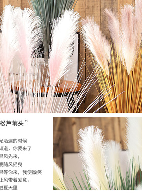 仿真芦苇草狗尾巴落地家居摆设