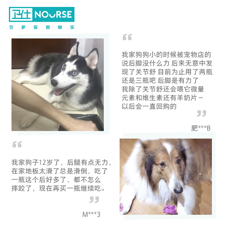 卫仕关节舒片鲨鱼软骨素狗用泰迪金毛吃的犬宠物关节强宝 康卫士 - 图2