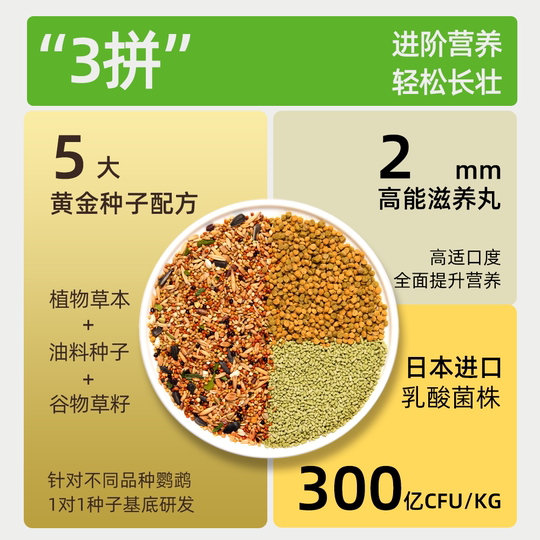 Veterinarian Recommends Bird Food for Parrots