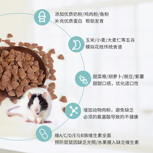 花枝鼠粮食主粮全龄阶段营养合成三角粮营养鼠粮用品饲料食物零食 - 图1
