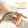 Sugar glider interactive reward snack palm interactive ring