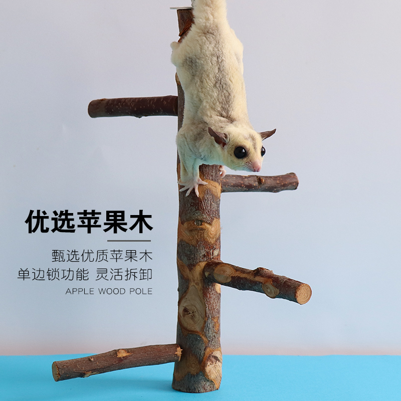 苹果木枝叉跳台树桩吊桥楼梯蜜袋鼯龙猫磨牙仓鼠玩具松鼠玩耍用品,淘宝优惠券,粉丝福利购,淘宝优惠卷