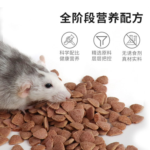 花枝鼠粮食主粮全龄阶段营养合成三角粮营养鼠粮用品饲料食物零食 - 图2