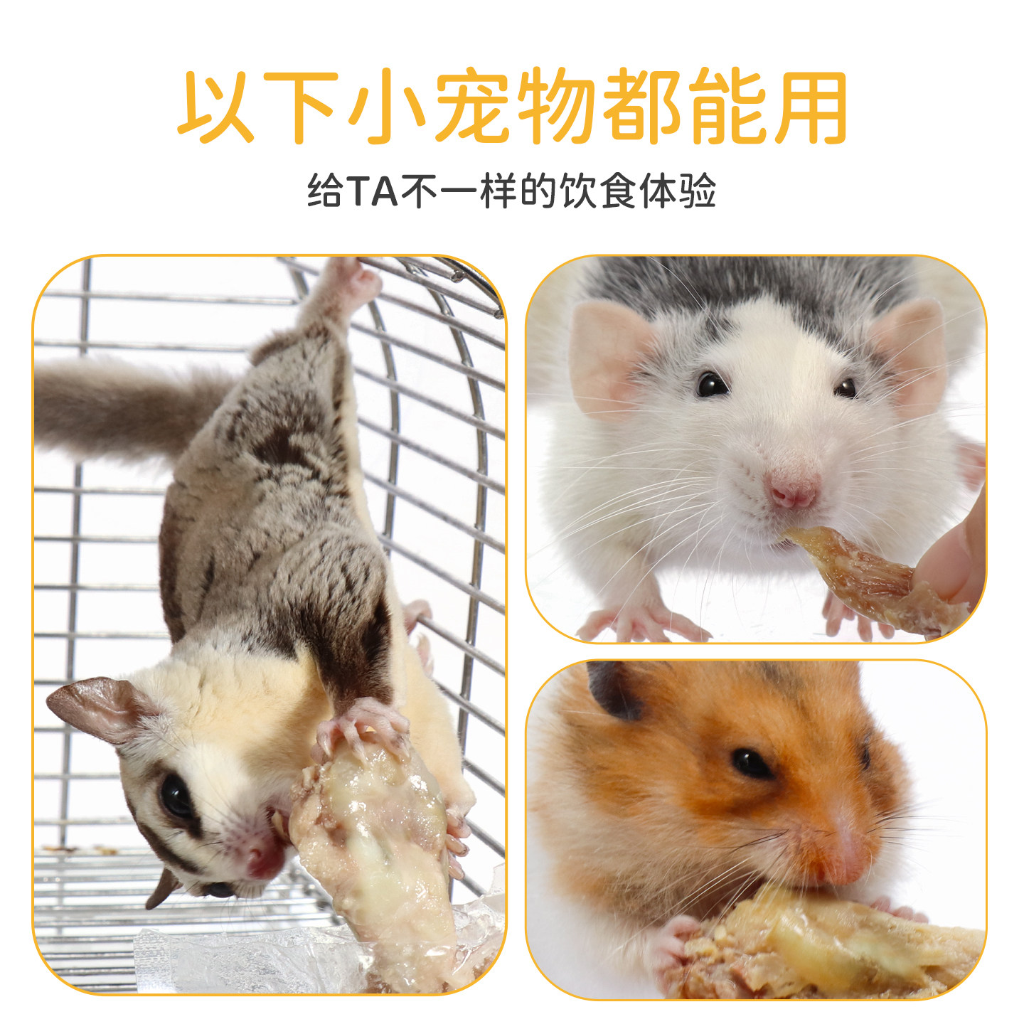 蜜袋鼯零食蒸煮小鸡腿仓鼠刺猬金丝熊吃的食物花枝鼠解闷营养食物,淘宝优惠券,粉丝福利购,淘宝优惠卷