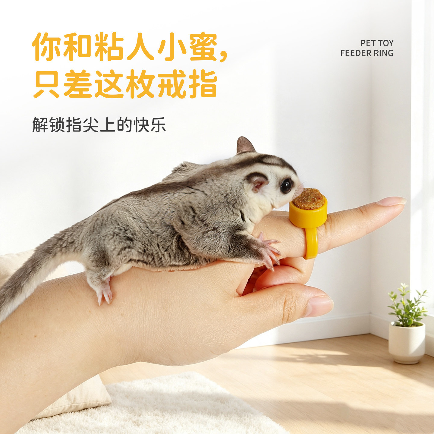 Sugar glider interactive reward snack palm interactive ring