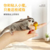 Sugar glider interactive reward snack palm interactive ring