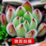 Мобильный телефон, объектив, универсальный комплект, камера видеонаблюдения, 52мм