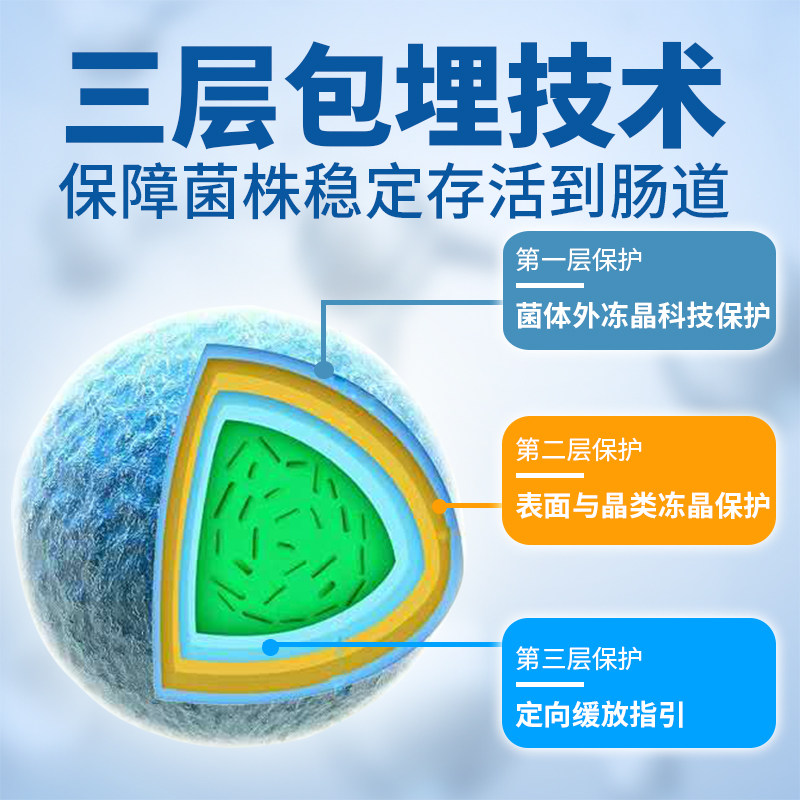 岭南宝贝大人儿童成人女性益生菌 岭南宝贝益生菌