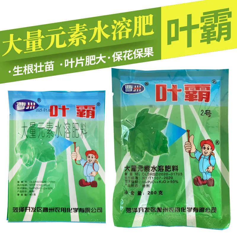 曹州叶霸2号叶面肥大量元素水溶肥花卉肥料月季蔬菜果树黄叶变绿,淘宝优惠券,粉丝福利购,淘宝优惠卷