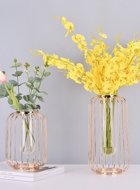北欧轻奢铁艺花瓶 玻璃试管水培花器 灯笼形烛台金色家居装饰摆件