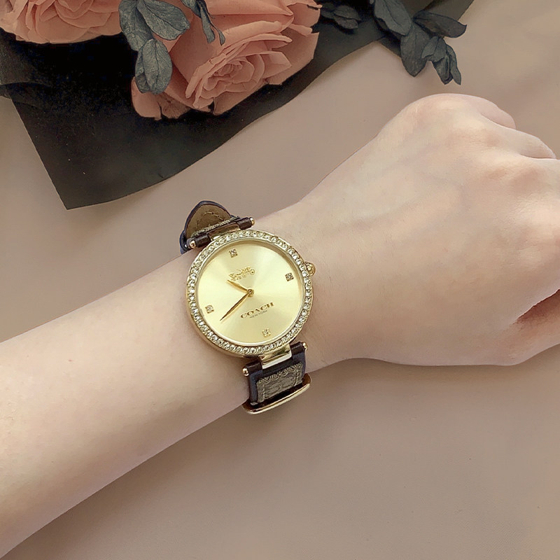 【节日礼物】coach蔻驰女park石英表 奥兹海外欧美腕表