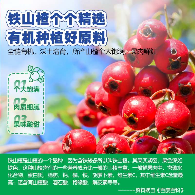 【小鹿蓝蓝_有机山楂水果棒】棒棒糖果肉条水果条儿童零食品牌