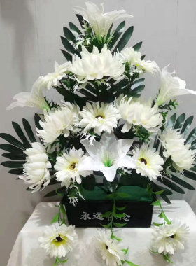 17头小理菊清明节上坟用