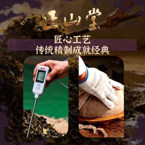 璞龙号墨韵普洱茶熟茶饼茶2018年收藏茶饼冰岛产区茶云南正山堂 - 图1