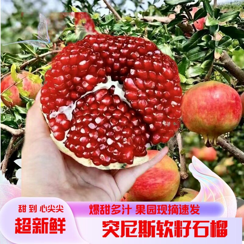 石榴突尼斯软籽新鲜水果礼盒装10斤红甜大果应当季整箱高档端送人