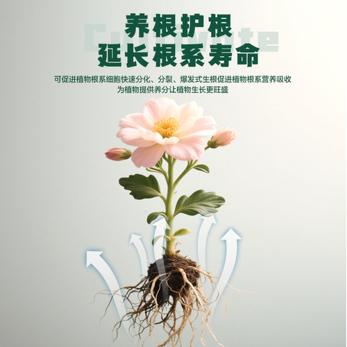 护花神生根壮根液肥料促根分化延长花期生根壮苗家用园艺营养液 - 图1