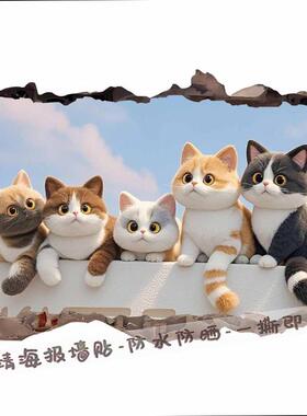 3D立体破洞可爱小猫咪墙贴画出租屋装饰贴纸防水自电动车贴花壁画