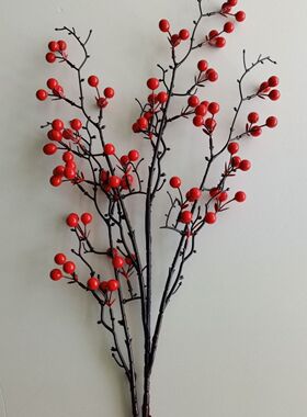 发财冬青红果浆果婚庆客