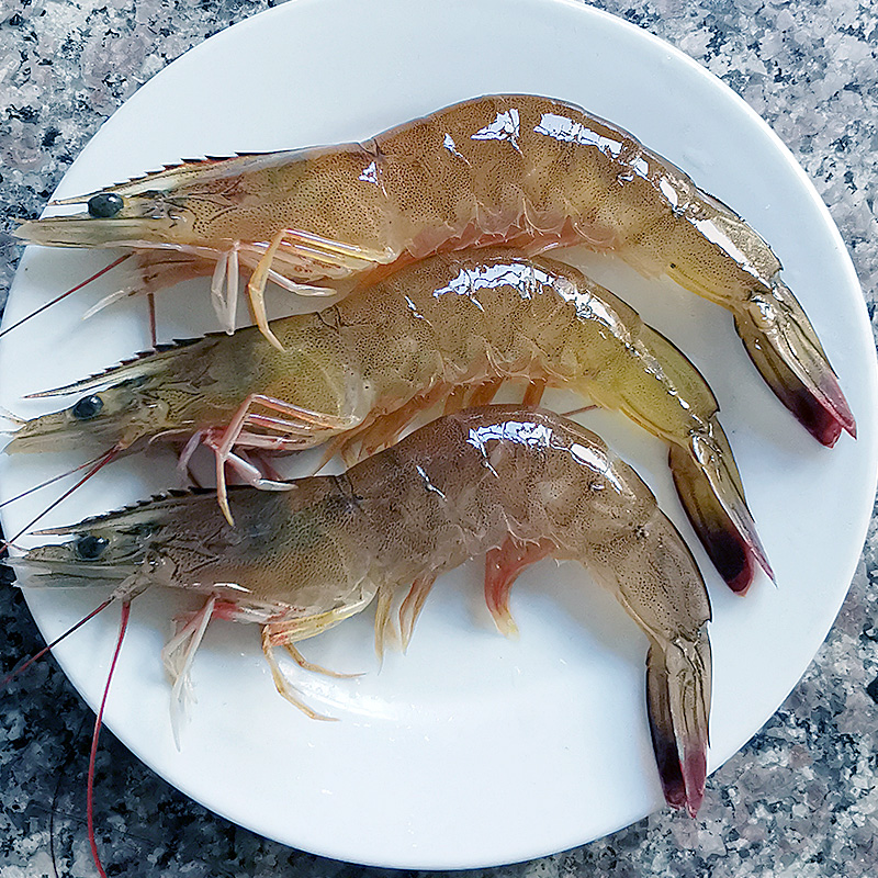 Cruiser Star Fresh Sea-caught Extra Large Prawns
