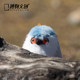 ຕອນກາງຄືນຂອງຫຼິ້ນ Heron Plush ສຽງນົກ