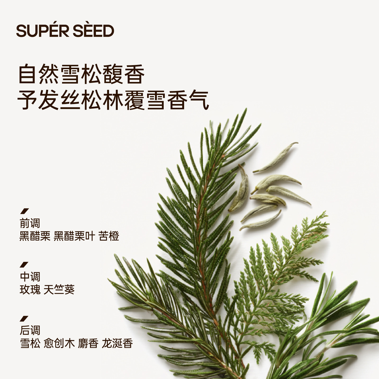 【蓬松控油】超级种子雪松头皮清洁洗发水5.0版 控油蓬松柔顺zb