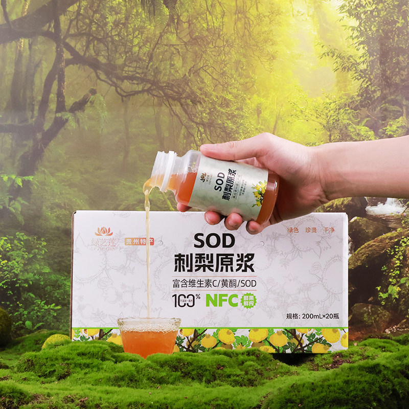 刺梨原浆原汁贵州特产新鲜养水元果NFC鲜榨果汁汤200ml20瓶装整箱,淘宝优惠券,粉丝福利购,淘宝优惠卷