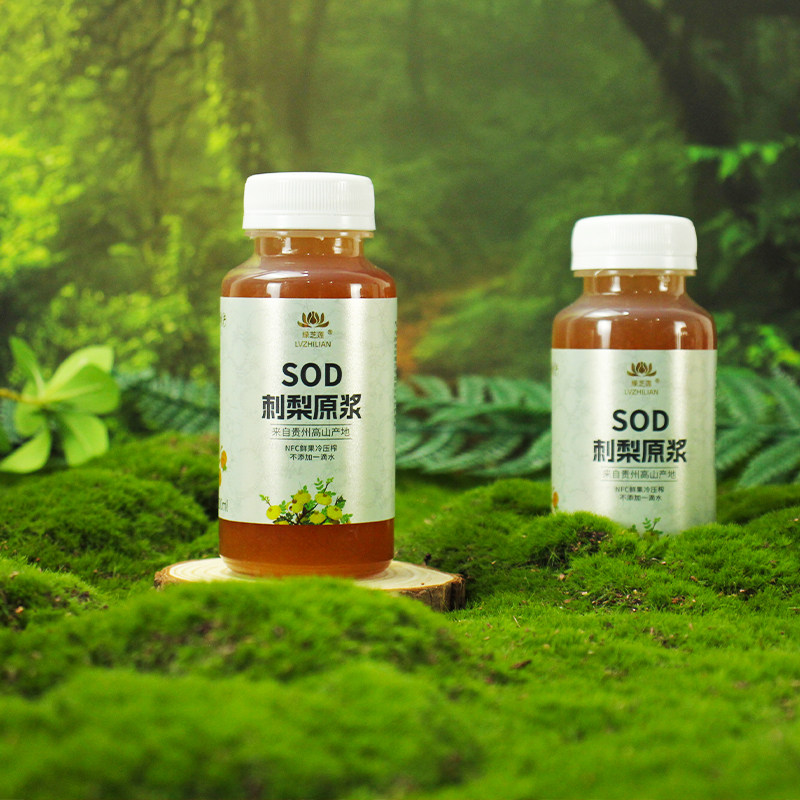 刺梨原浆原汁贵州特产新鲜养水元果NFC鲜榨果汁汤200ml20瓶装整箱,淘宝优惠券,粉丝福利购,淘宝优惠卷