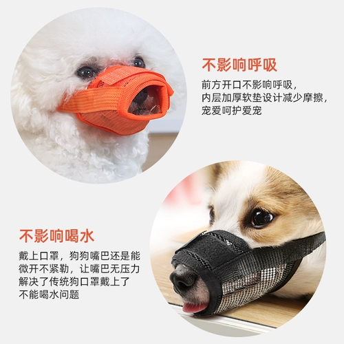 Корпус собаки анти -салона и анти -ругая маска золота