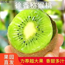 Shaanxi Eyebrow County Xu Xiangqi Exotic Fruits Fresh Fruit Pregnant Woman Green Heart Macaque Peach Season the whole box of kiwifruit