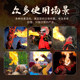 ໃບໜ້າປ່ຽນແປງຂອງ Sichuan Opera ແລະນ້ຳມັນຫາຍໃຈໄຟແມ່ນປອດໄພ ແລະ ບໍ່ມີພິດ