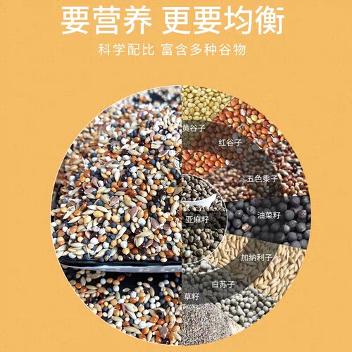 小型鸟粮食文鸟珍珠鸟粮黄谷子五色黍子芙蓉鸟玉鸟食混合饲料包邮 - 图2