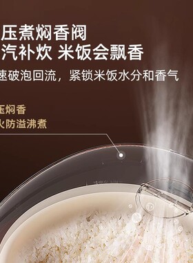 小熊电饭煲3L家用不粘电饭煲柴火饭多功能电饭锅煮粥煮饭