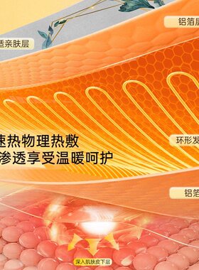 诺泰海盐热敷袋草本海盐电热艾灸艾草按摩暖腰护腰