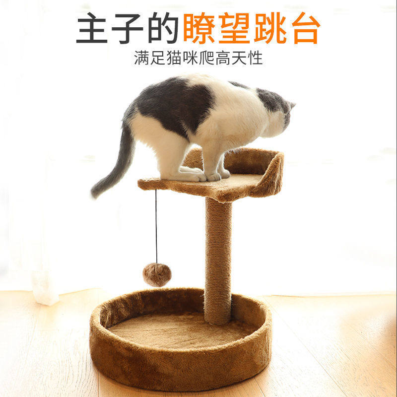 猫树玩推荐品牌 新人首单立减十元 21年6月 淘宝海外