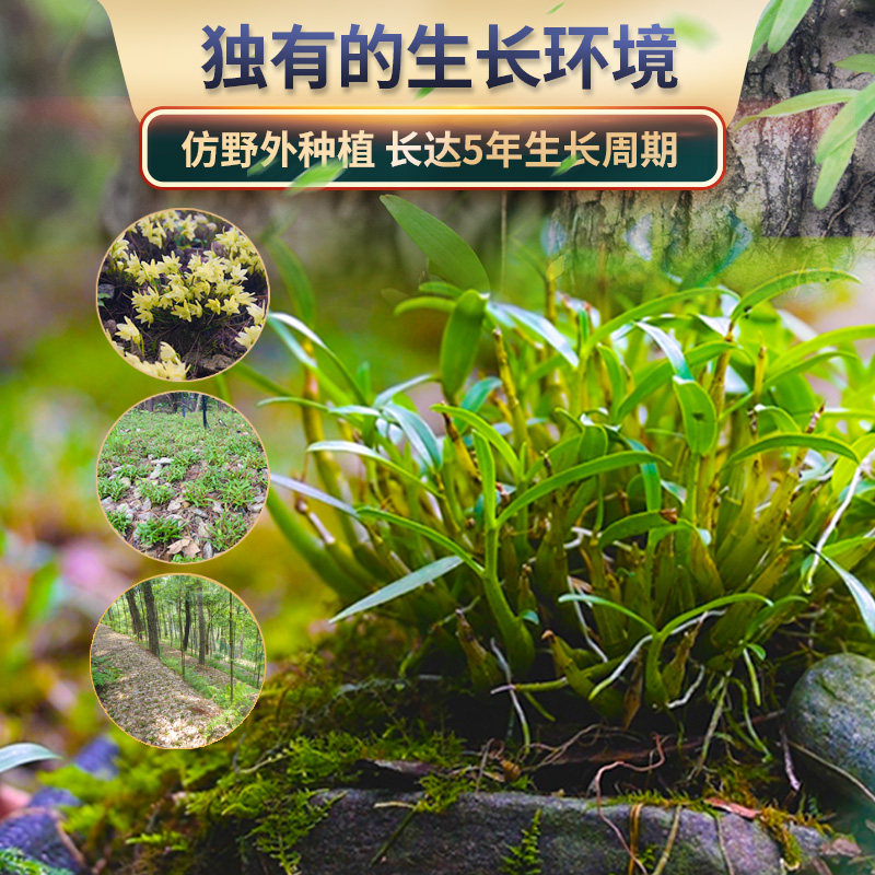 正宗霍山铁皮官方正品旗舰店粉枫斗 仙斛世家石斛/枫斗