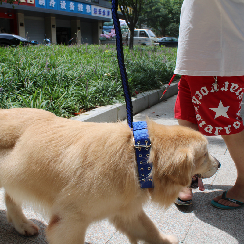 狗狗牵引绳中大型犬宠物狗链子项圈金毛萨摩耶哈士奇遛狗绳子栓狗 - 图1