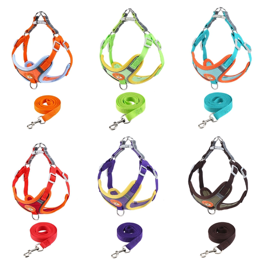 Vest-style Teddy Bichon Pomeranian Dog Traction