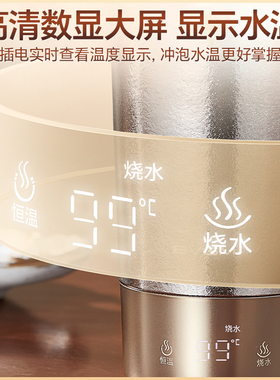 英国宝威玛纯钛便携电热杯